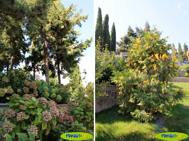 Отдых в Крыму! Фото парка Парадиз в ЛОК Айвазовское (05.10.14), Большая Алушта, пос. Партенит, Крым Отдых в Крыму! Фото парка Парадиз в ЛОК Айвазовское (05.10.14), Большая Алушта, пос. Партенит, Крым