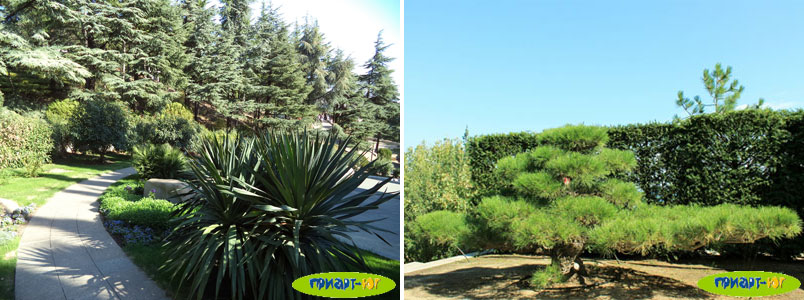 Отдых в Крыму! Фото парка Парадиз в ЛОК Айвазовское (05.10.14), Большая Алушта, пос. Партенит, Крым Отдых в Крыму! Фото парка Парадиз в ЛОК Айвазовское (05.10.14), Большая Алушта, пос. Партенит, Крым