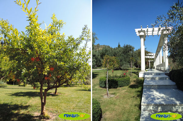 Отдых в Крыму! Фото парка Парадиз в ЛОК Айвазовское (05.10.14), Большая Алушта, пос. Партенит, Крым Отдых в Крыму! Фото парка Парадиз в ЛОК Айвазовское (05.10.14), Большая Алушта, пос. Партенит, Крым